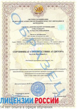 Образец сертификата соответствия аудитора №ST.RU.EXP.00006191-3 Южноуральск Сертификат ISO 50001